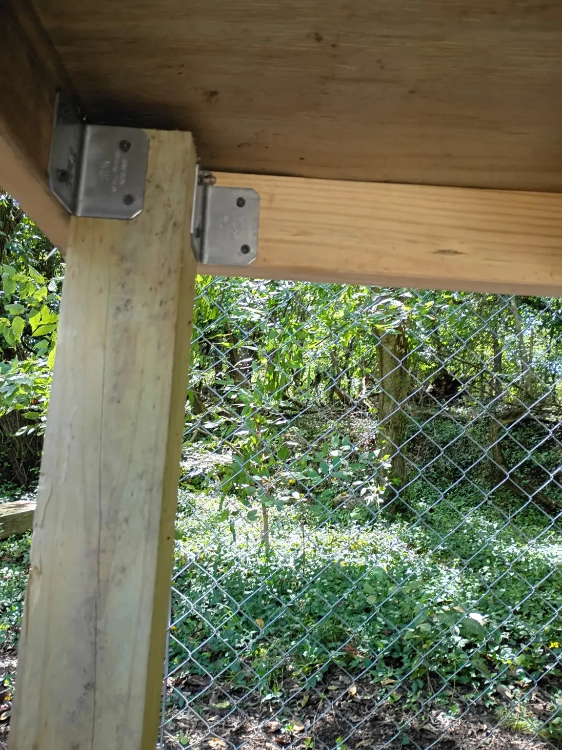 Custom chicken coop photo 9