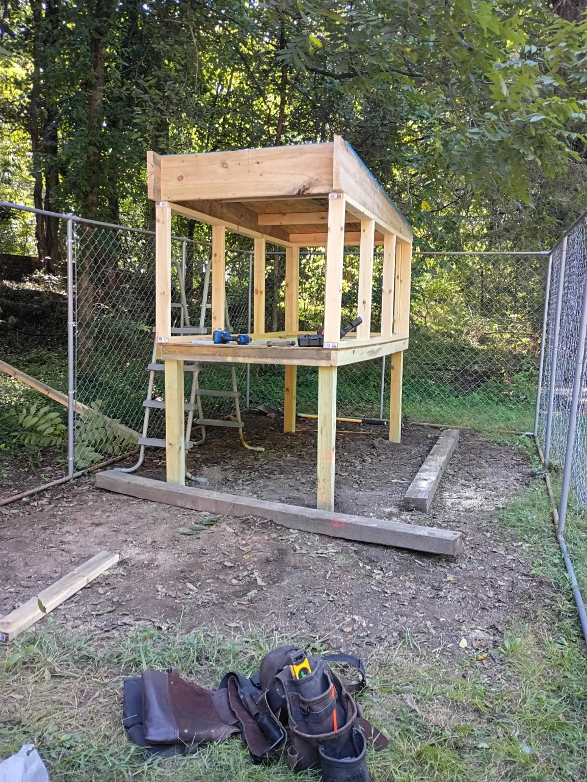 Custom chicken coop photo 5