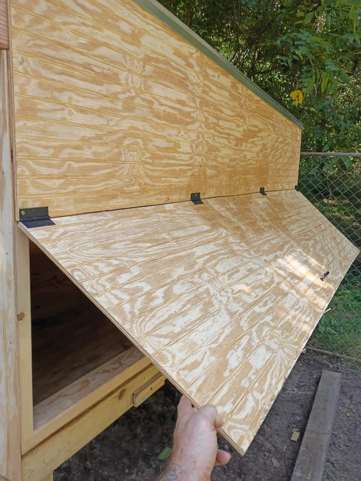 Custom chicken coop photo 7