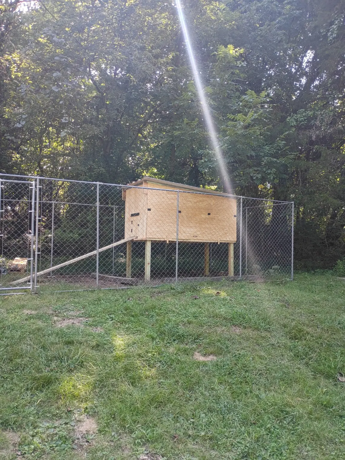 Custom chicken coop photo 8