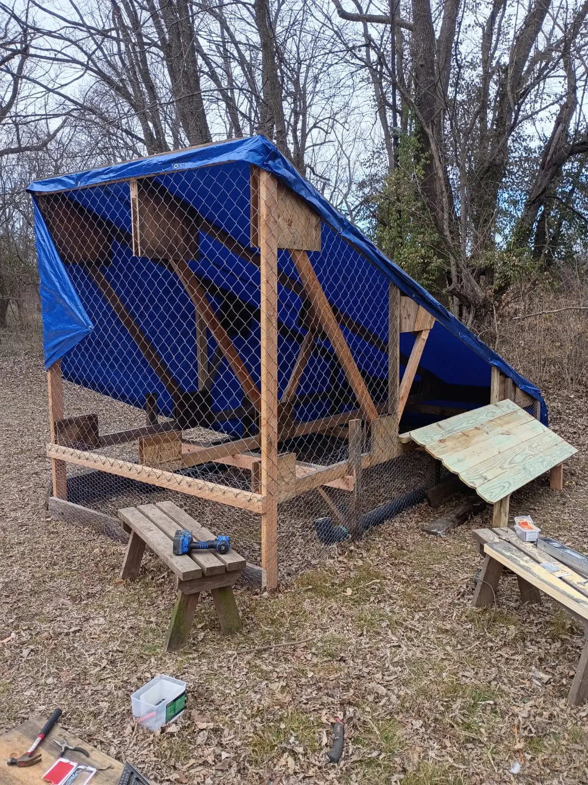 Custom chicken coop photo 12