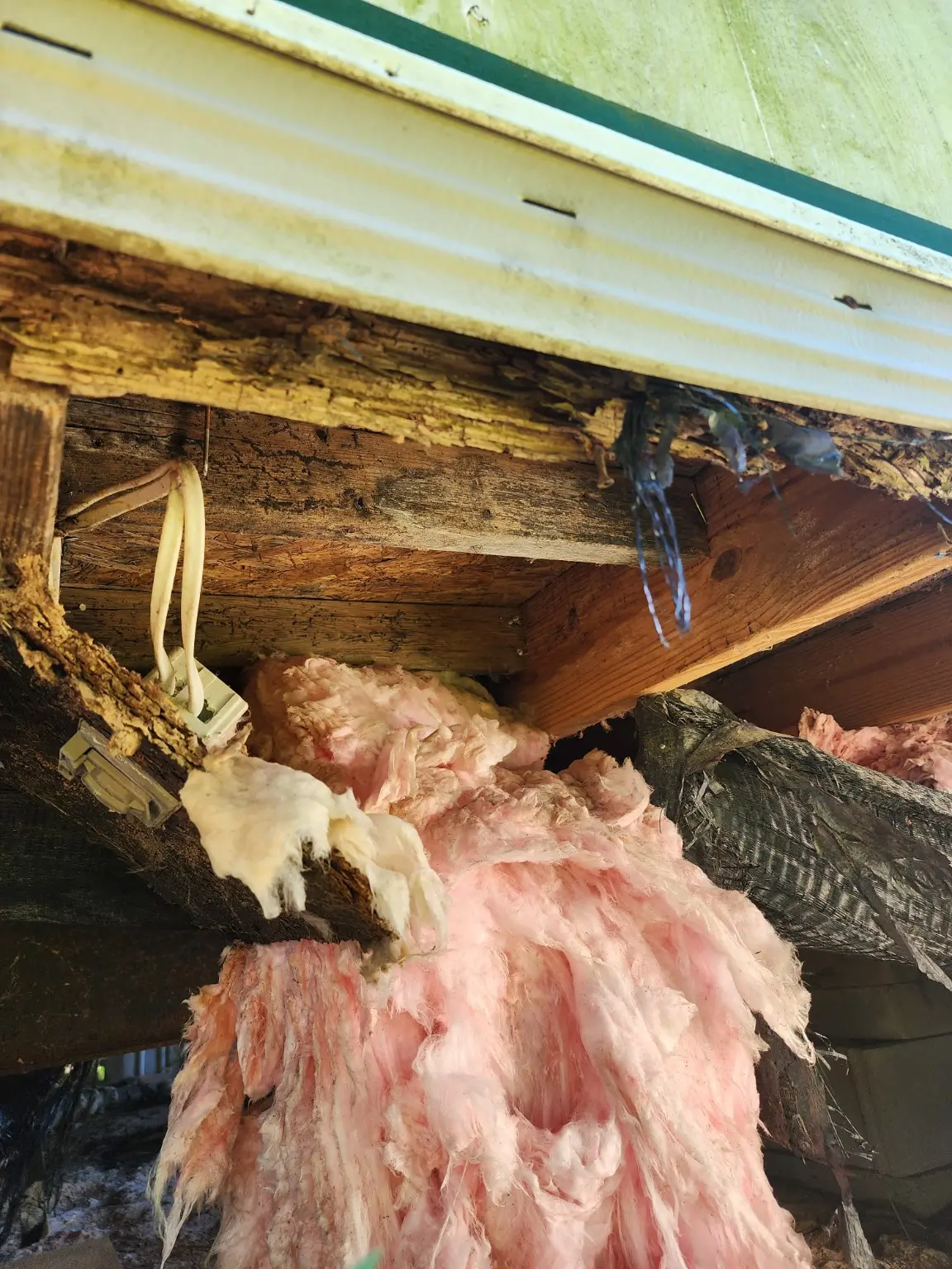 Severe rot exposed beneath the kitchen