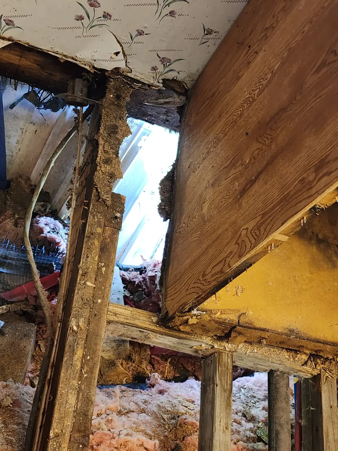 Rotted kitchen framing and flooring opened for inspection